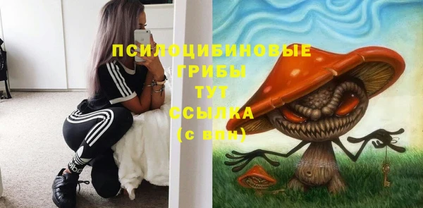 дмт Бронницы